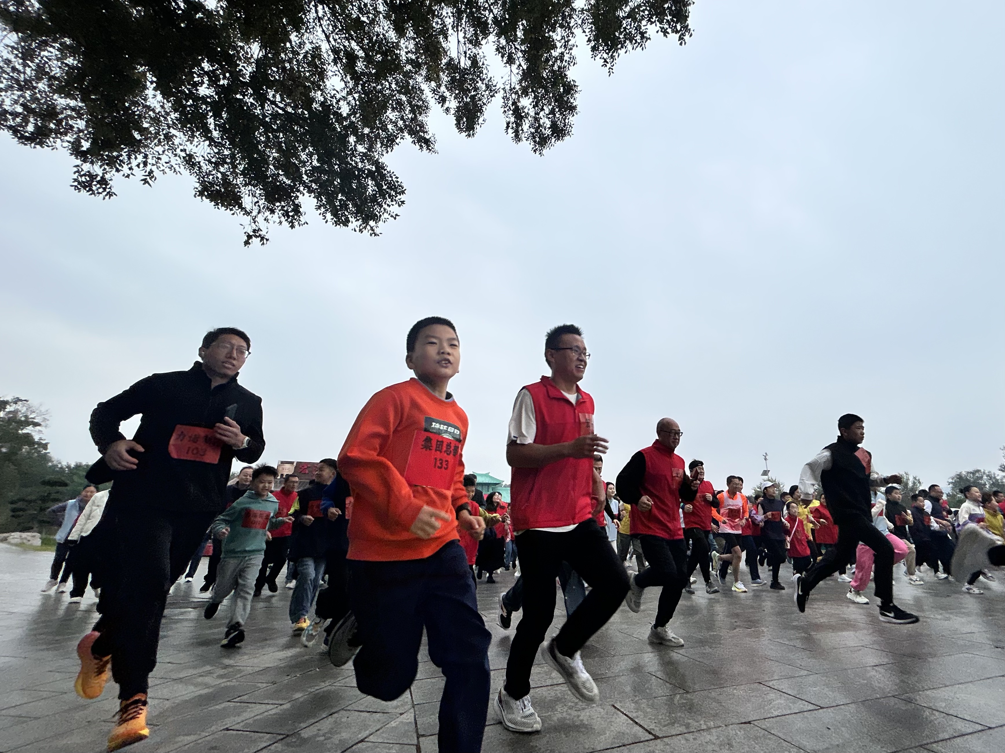 IMG_4440.JPG IMG_4440.JPG